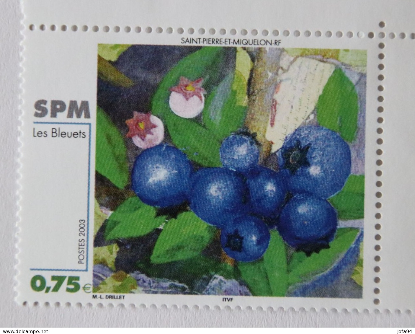 SPM 2003 Peinture Fruits Les Bleuets  YT 794  Neuf - Unused Stamps