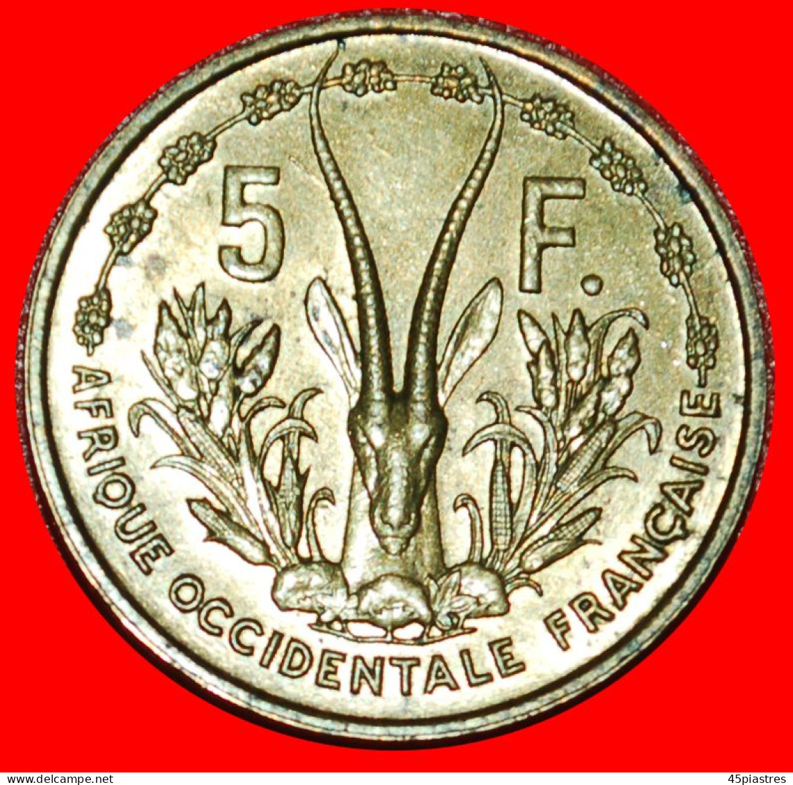 * FRANCE: FRENCH WEST AFRICA  5 FRANCS 1956 MINT LUSTRE!  · LOW START ·  NO RESERVE! - French West Africa