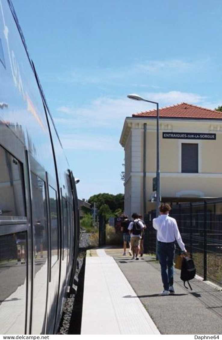 Entraigue-sur-la-Sorgues - 2021-07 - SNCF - Train à Quai - 9554 - Entraigue Sur Sorgue