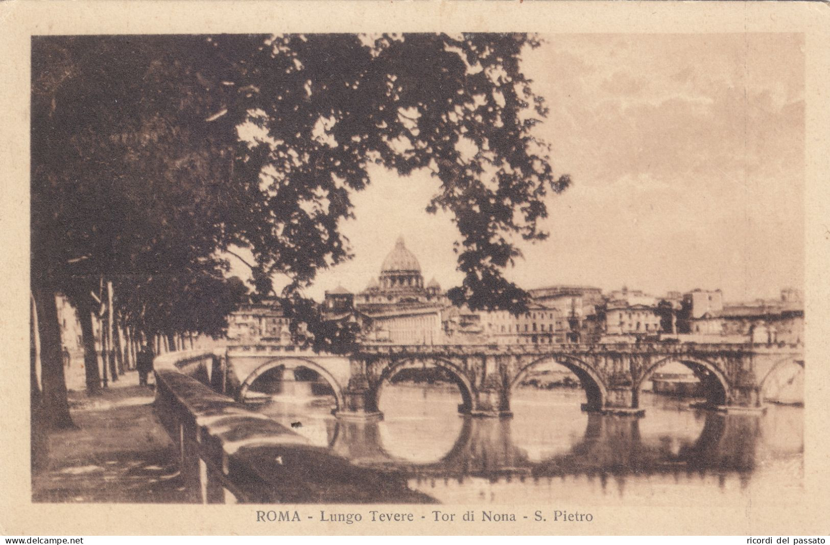 Cartolina Roma - Lungo Tevere - Tor Di Nona - S.pietro - Fiume Tevere