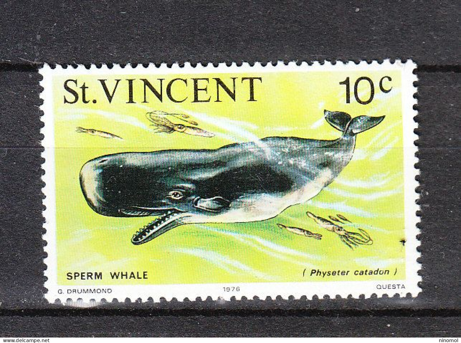 St. Vincent  -  1976. Balena. Whale. MNH - Baleines