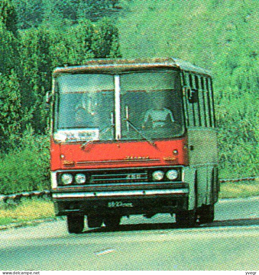 Moldavie - CHISINAU - Portile De Sud Ale Orasului - Vieux Bus - Moldova