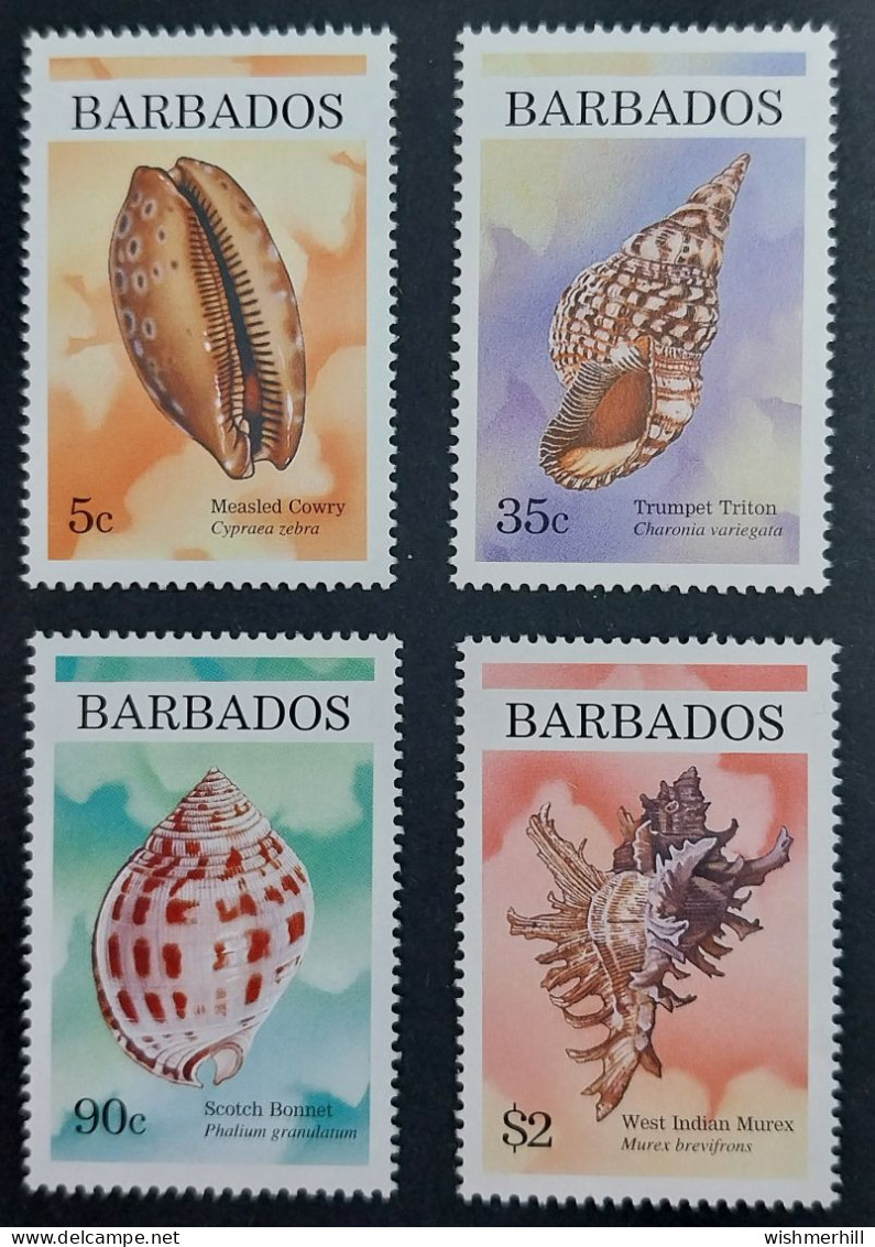 Coquillages Shells // Série Complète Neuve ** MNH ; Barbados YT 962/965 (1997) Cote 7.50 € - Barbades (1966-...)