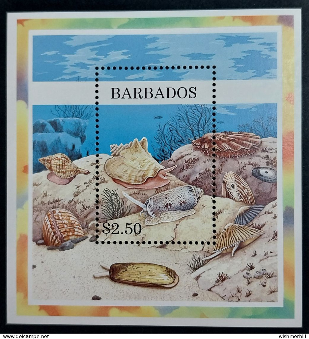 Coquillages Shells // Bloc Neuve ** MNH ; Barbados BF 35 (1997) Cote 6.50 € - Barbados (1966-...)