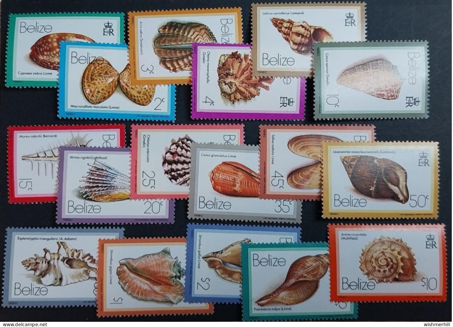 Coquillages Shells // Série Complète Neuve ** MNH ; Bélize YT 455/471 (1980) Cote 80 € - Belize (1973-...)
