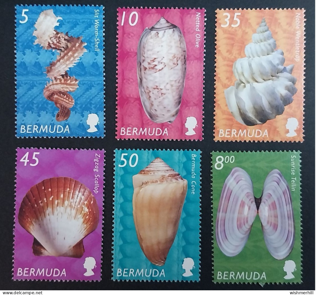 Coquillages Shells // Série Complète Neuve ** MNH ; Bermuda YT 836/841 (2002) Cote 40 € - Bermuda