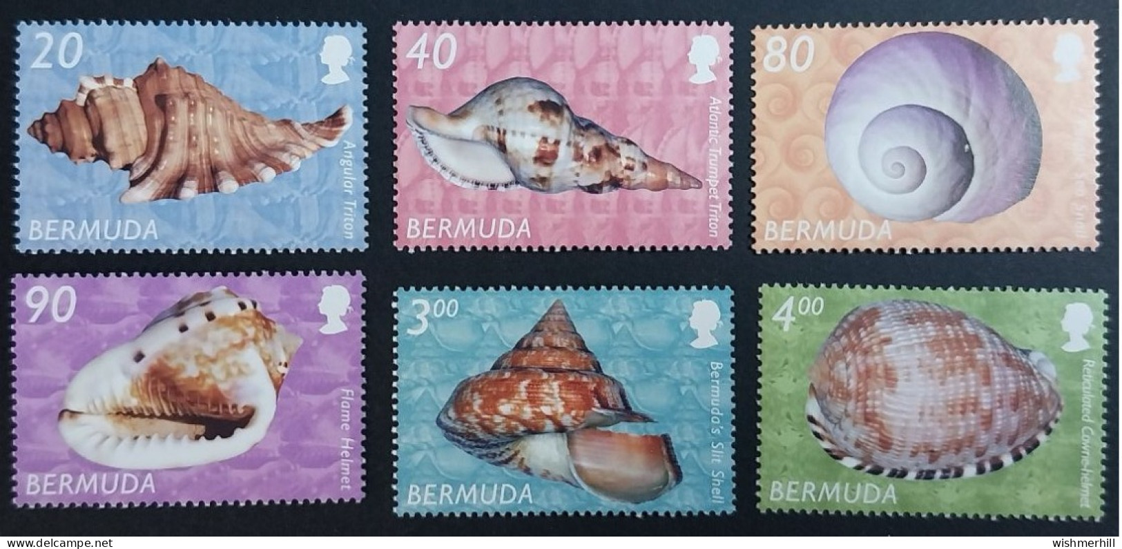 Coquillages Shells // Série Complète Neuve ** MNH ; Bermuda YT 844/849 (2002) Cote 37.50 € - Bermuda