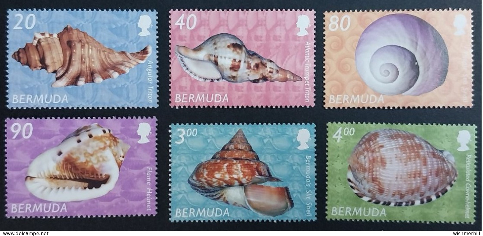 Coquillages Shells // Série Complète Neuve ** MNH ; Bermuda YT 844/849 (2002) Cote 37.50 € - Bermudes