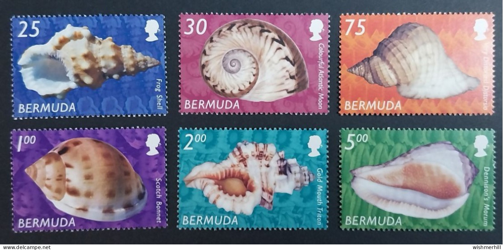 Coquillages Shells // Série Complète Neuve ** MNH ; Bermuda YT 854/859 (2002) Cote 32.50 € - Bermuda