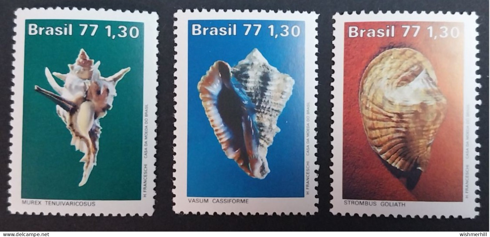 Coquillages Shells // Série Complète Neuve ** MNH ; Brésil YT 1266/1268 (1977) Cote 3 € - Neufs