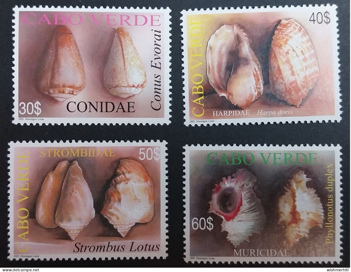 Coquillages Shells // Série Complète Neuve ** MNH ; Cap-Vert YT 840/843 (2005) Cote 15 € - Islas De Cabo Verde