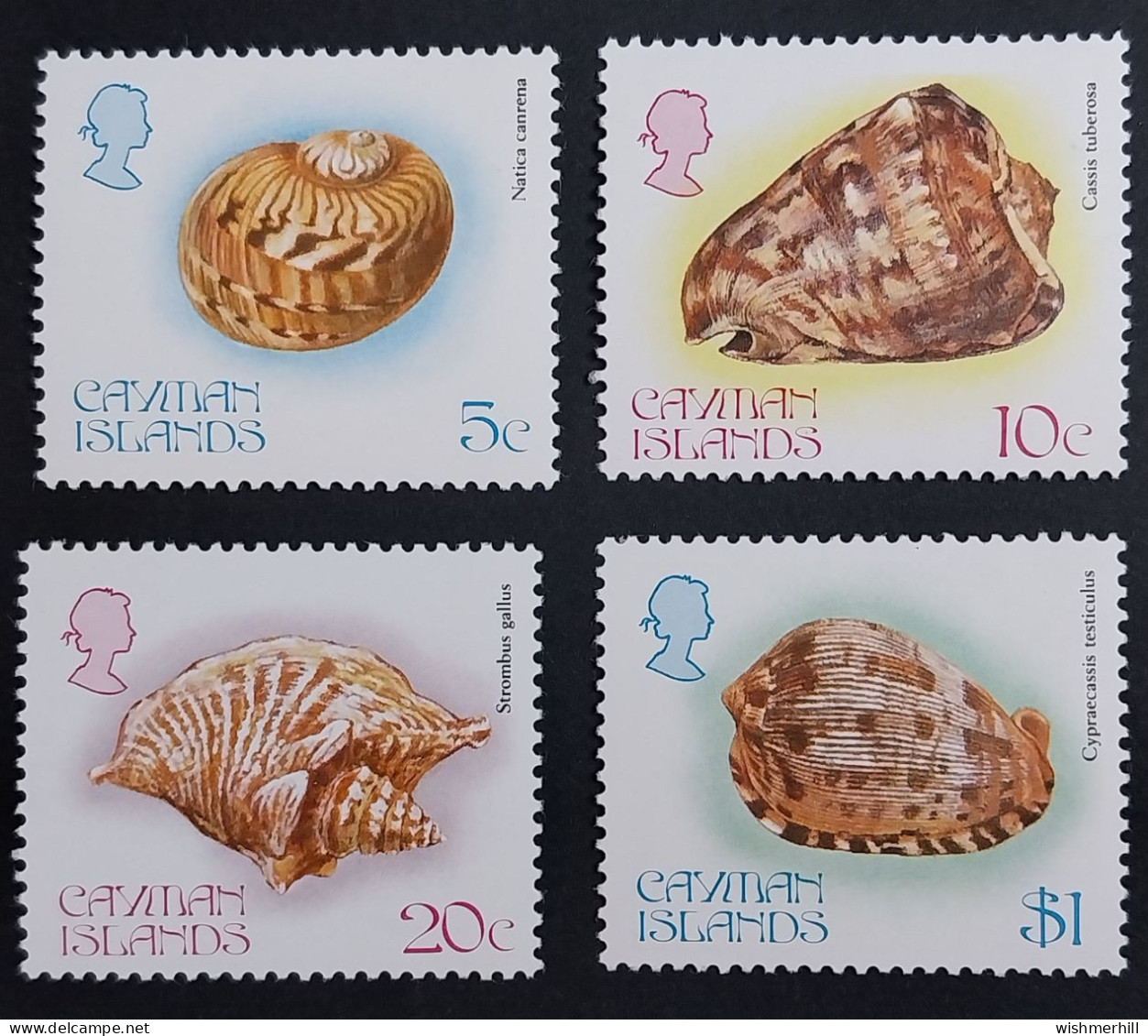 Coquillages Shells // Série Complète Neuve ** MNH ; Caïmans YT 509/512 (1983) Cote 7 € - Cayman (Isole)