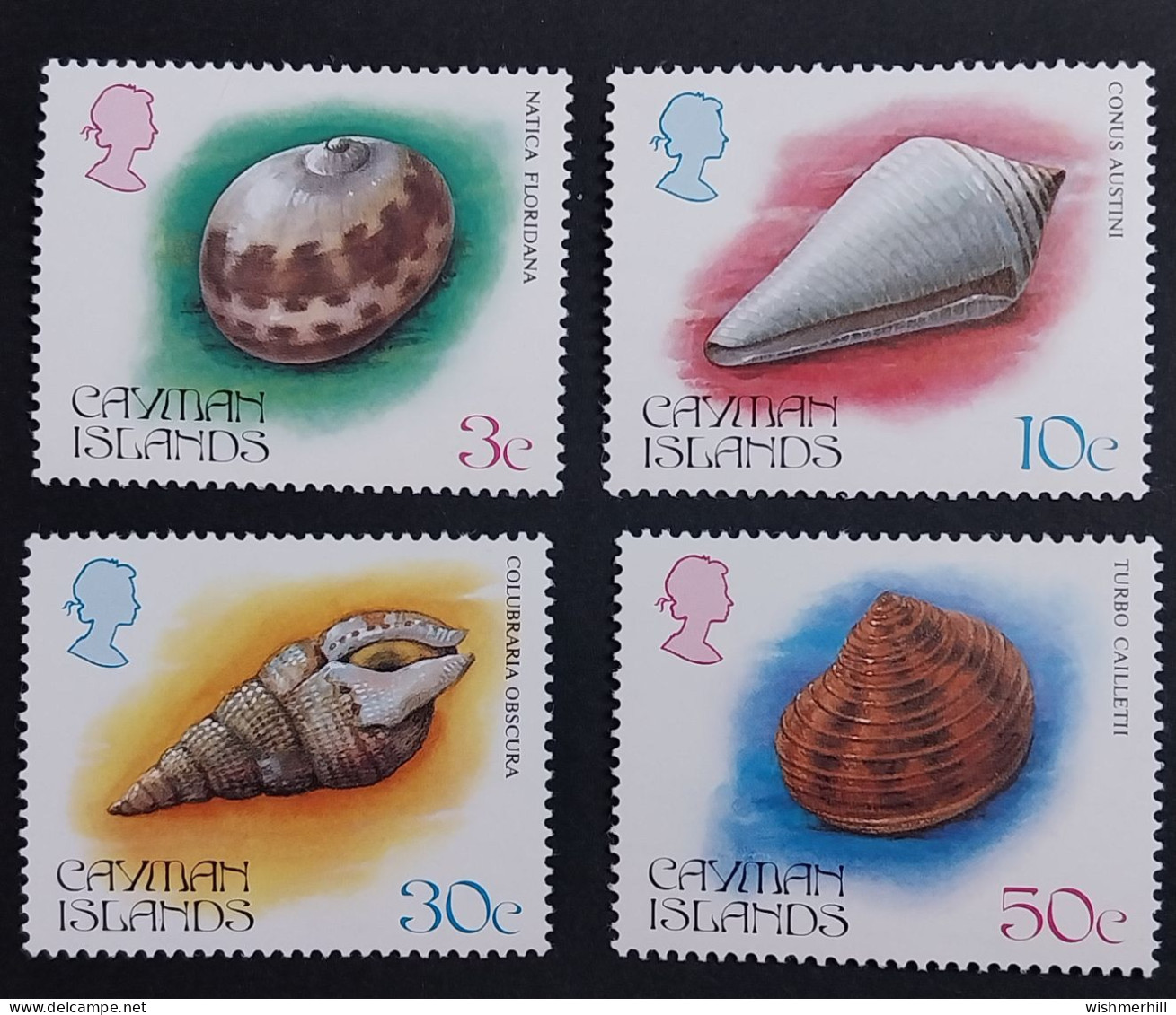 Coquillages Shells // Série Complète Neuve ** MNH ; Caïmans YT 525/528 (1984) Cote 13 € - Caimán (Islas)