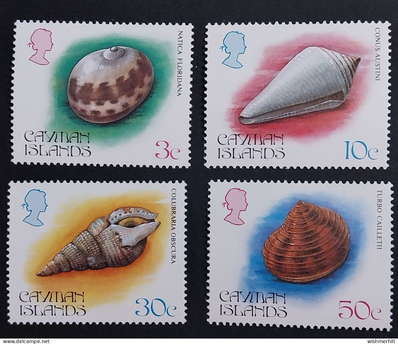 Coquillages Shells // Série Complète Neuve ** MNH ; Caïmans YT 525/528 (1984) Cote 13 € - Cayman Islands