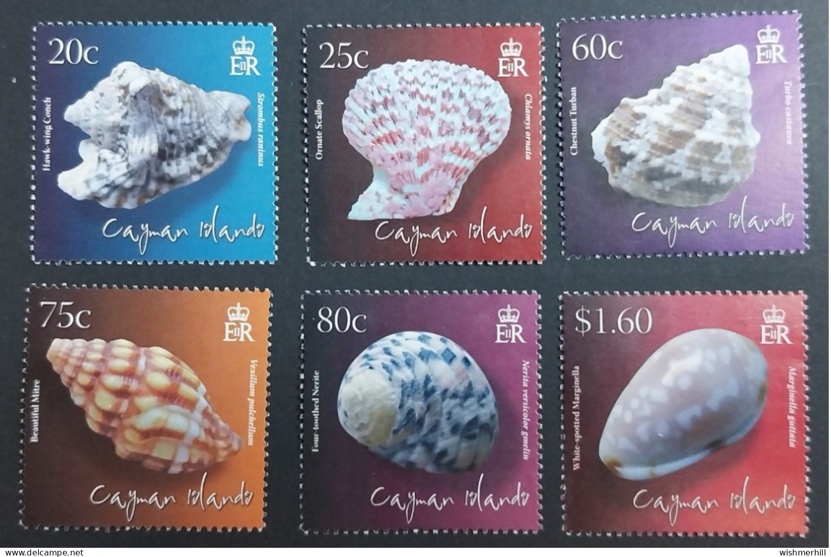 Coquillages Shells // Série Complète Neuve ** MNH ; Caïmans YT 1139/1144 (2010) Cote 16 € - Caimán (Islas)