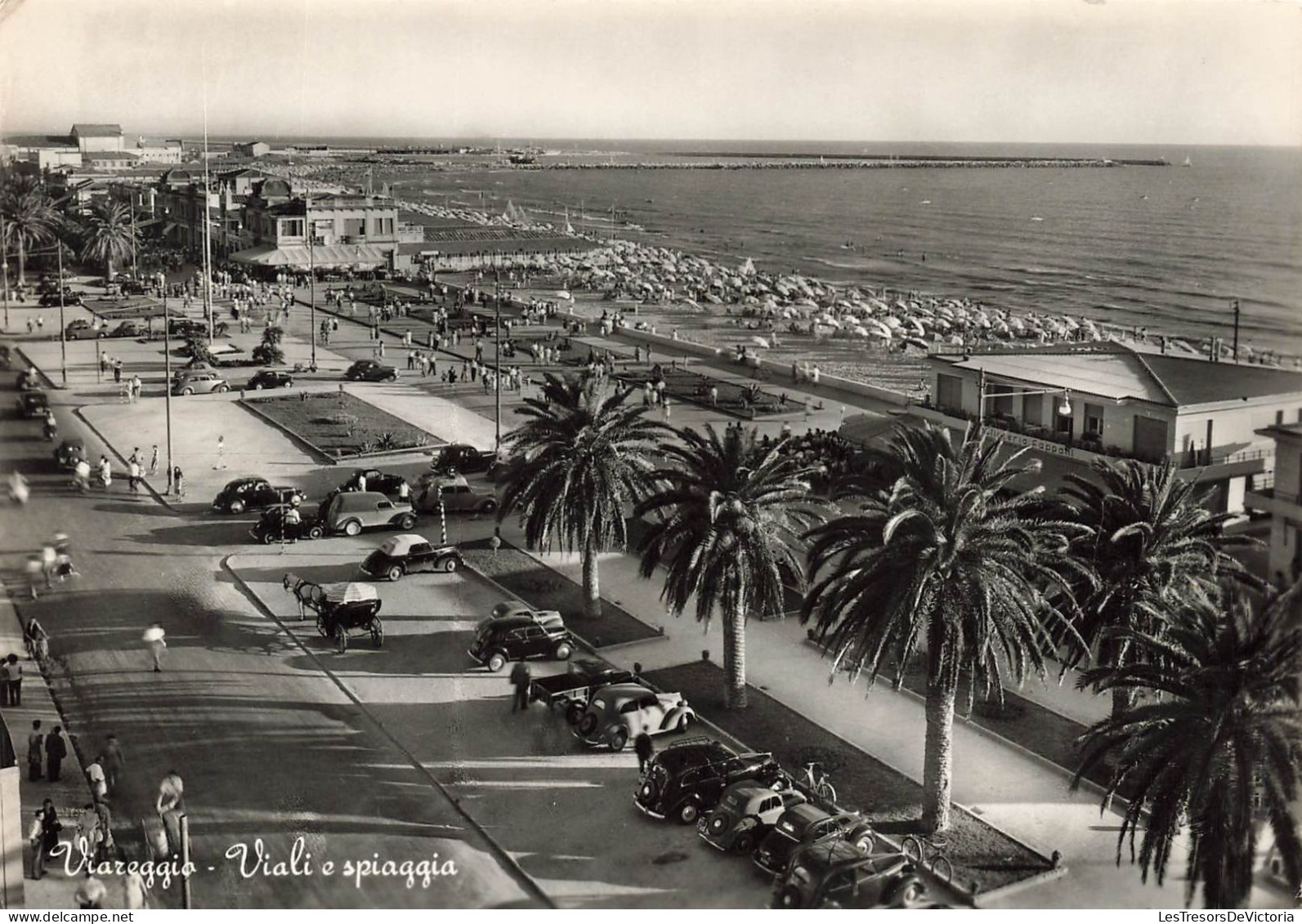 ITALIE - Viareggio - Viali E Spiaggia - Voitures - Palmiers - Les Allées Et La Plage - Carte Postale Ancienne - Viareggio