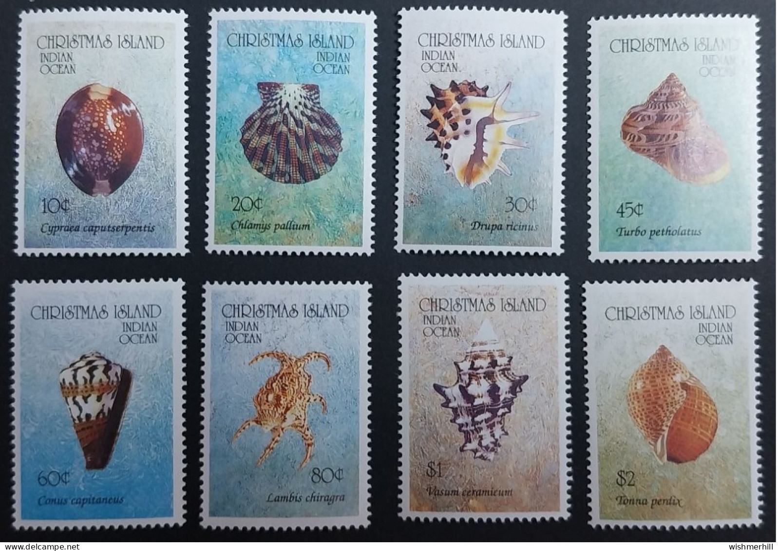 Coquillages Shells // Série Complète Neuve ** MNH ; Christmas Island YT 361/368 (1992) Cote 16.50 € - Christmas Island