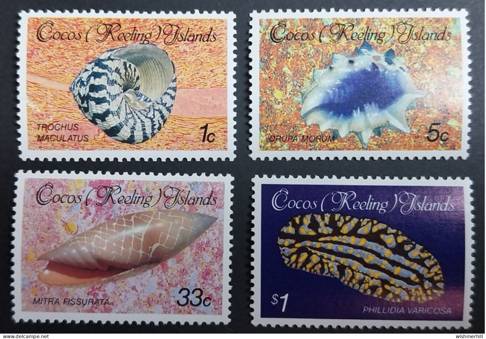 Coquillages Shells // Série Complète Neuve ** MNH ; Cocos (Keeling) YT 134/137 (1985) Cote 8 € - Cocos (Keeling) Islands