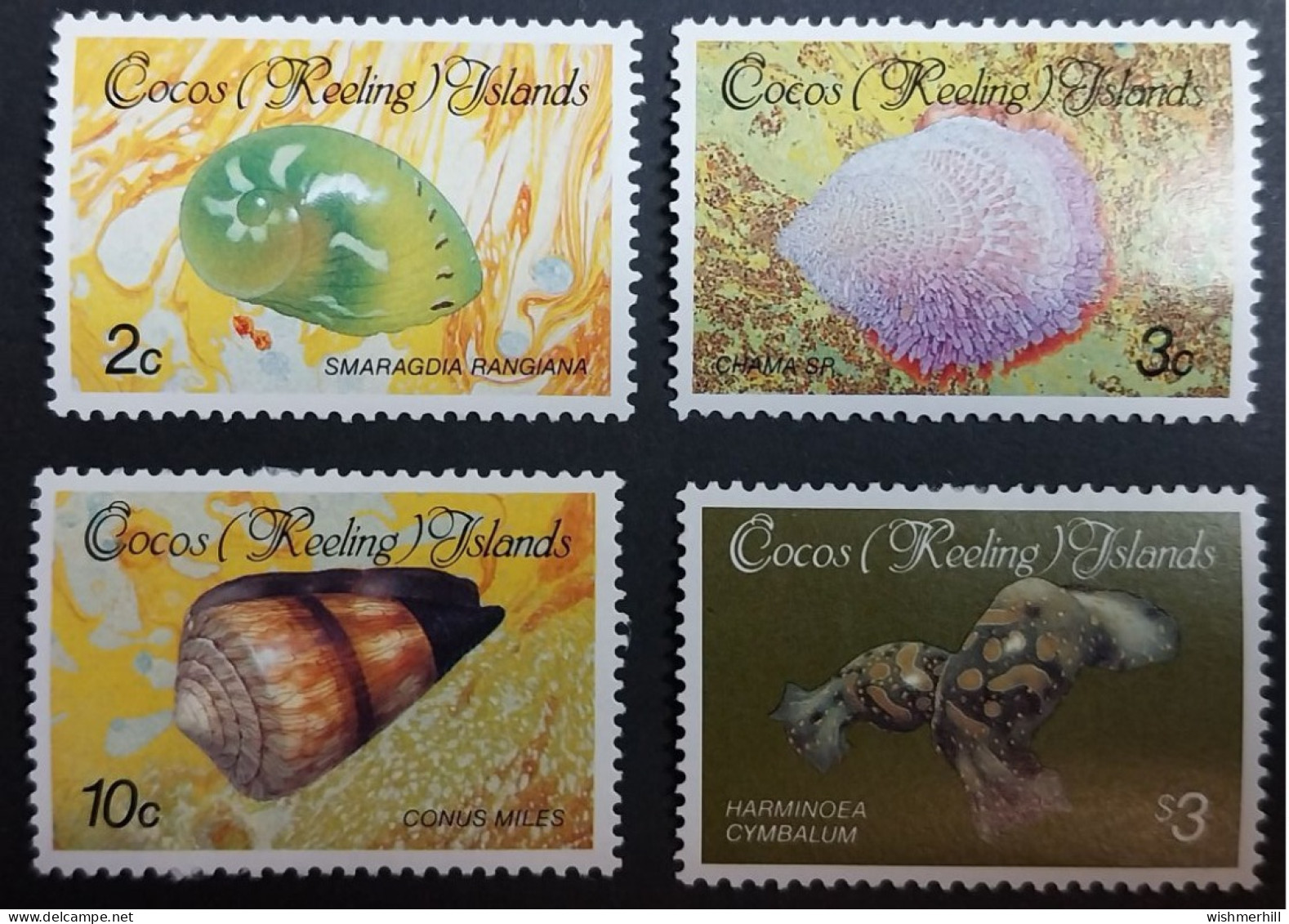 Coquillages Shells // Série Complète Neuve ** MNH ; Cocos (Keeling) YT 138/141 (1986) Cote 12 € - Kokosinseln (Keeling Islands)