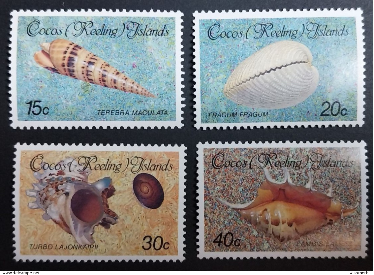 Coquillages Shells // Série Complète Neuve ** MNH ; Cocos (Keeling) YT 145/148 (1986) Cote 9 € - Cocos (Keeling) Islands