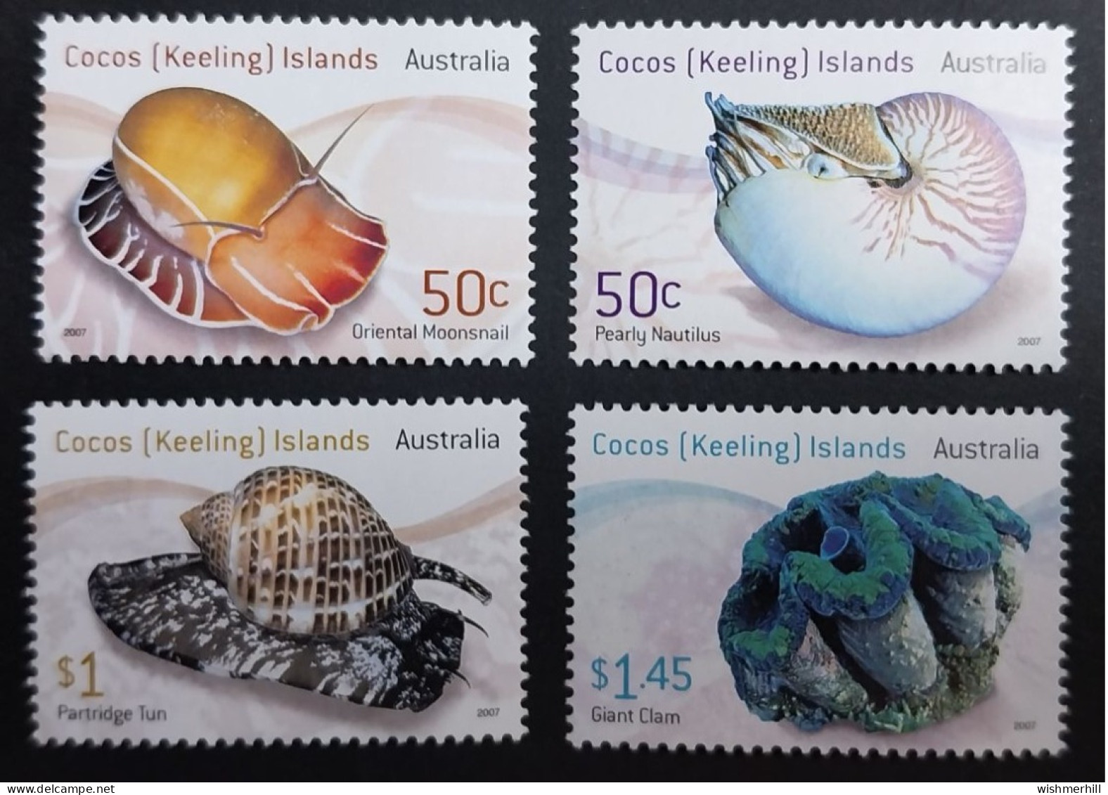 Coquillages Shells // Série Complète Neuve ** MNH ; Cocos (Keeling) YT 425/428 (2007) Cote 8 € - Kokosinseln (Keeling Islands)