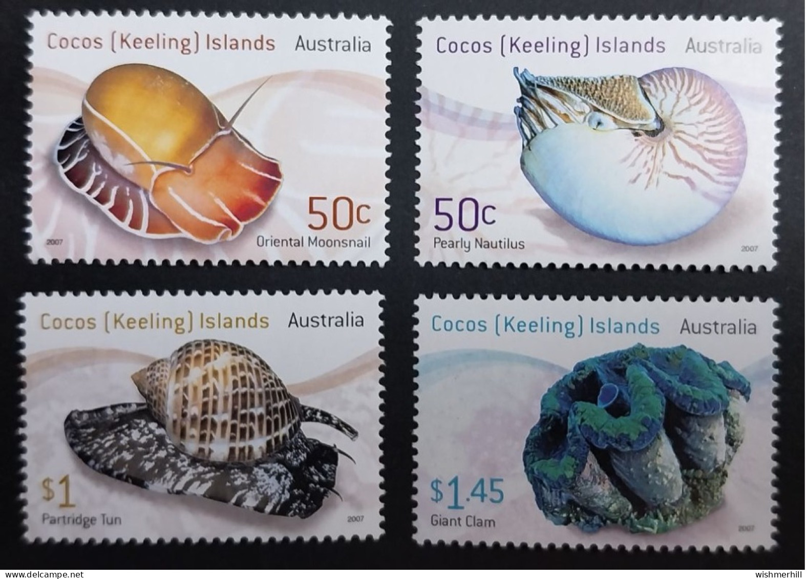 Coquillages Shells // Série Complète Neuve ** MNH ; Cocos (Keeling) YT 425/428 (2007) Cote 8 € - Cocos (Keeling) Islands