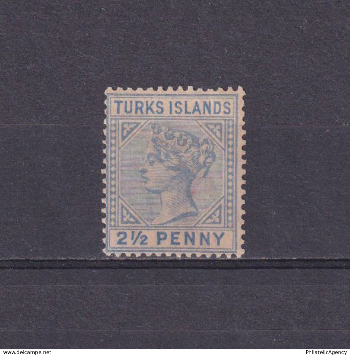 TURKS ISLANDS 1896, SG #65, Queen Victoria, NG - Turks And Caicos