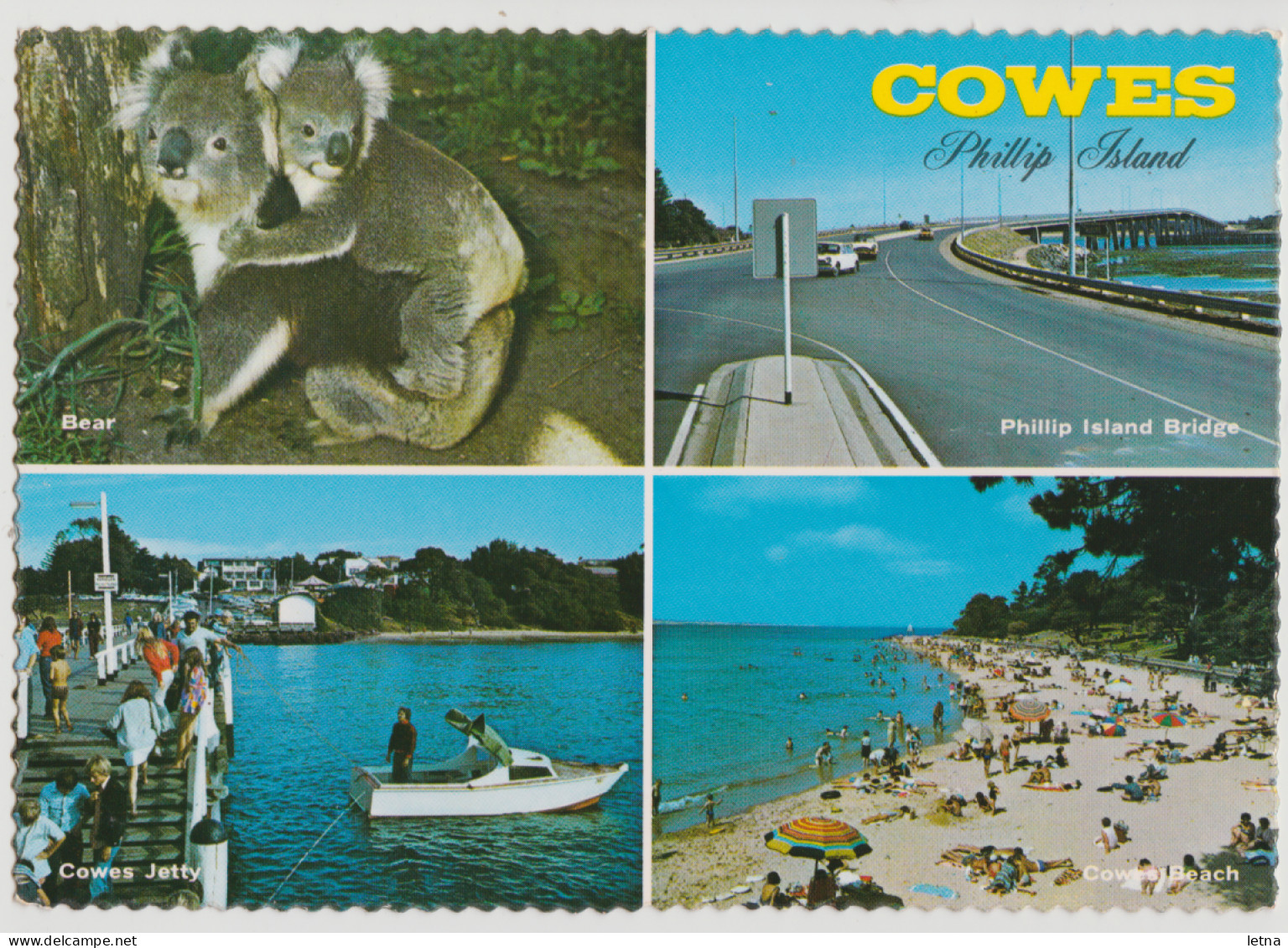 Australia VICTORIA VIC Koalas Bridge Beach COWES PHILLIP ISLAND Nucolorvue PIC.2 Postcard C1970s - Andere & Zonder Classificatie