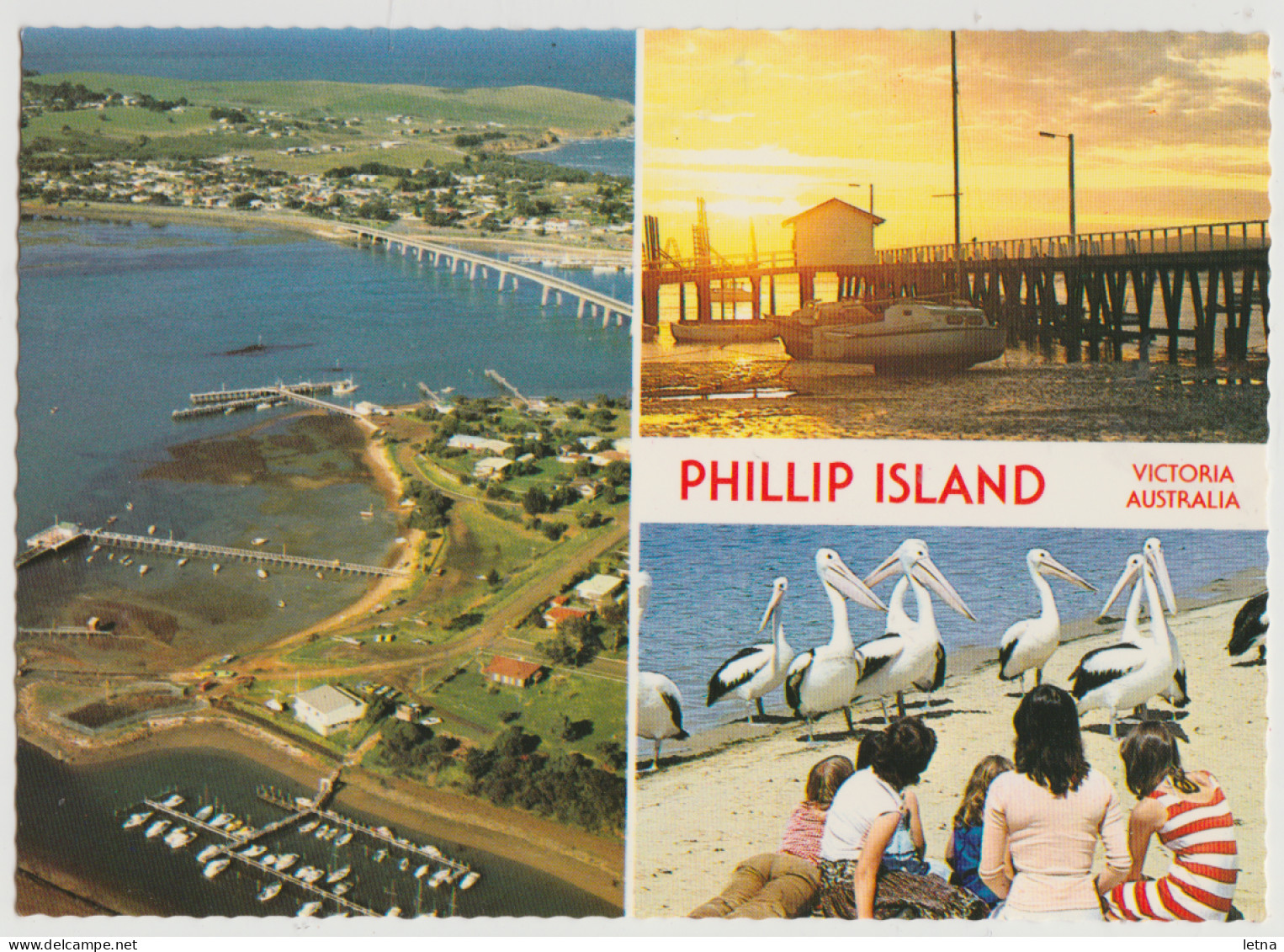 Australia VICTORIA VIC Pelicans Jetty  Aerial View PHILLIP ISLAND Scancolor CS1490 Multiview Postcard C1980s - Other & Unclassified