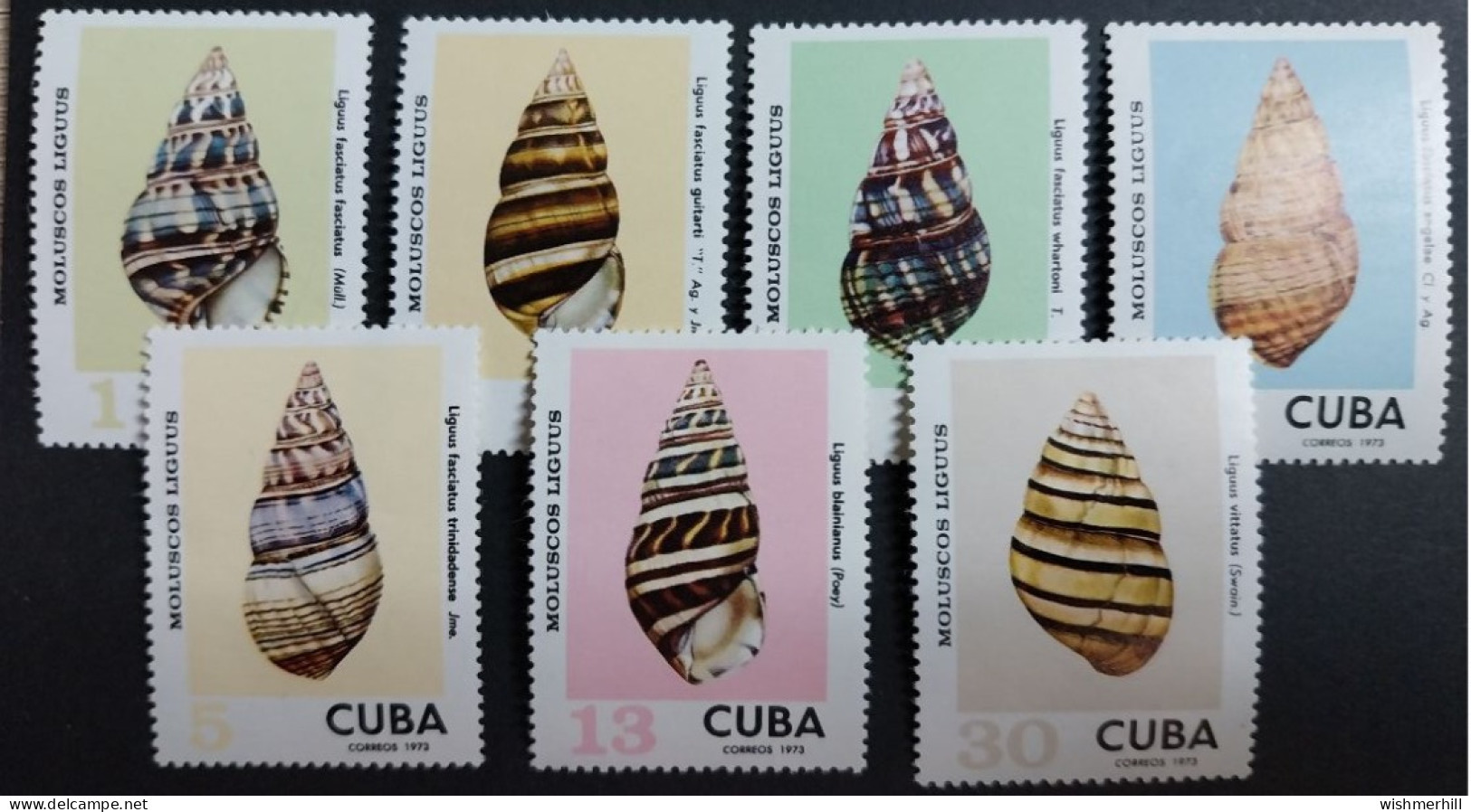 Coquillages Shells // Série Complète Neuve ** MNH ; Cuba YT 1709/1715 (1973) Cote 7.50 € - Ongebruikt