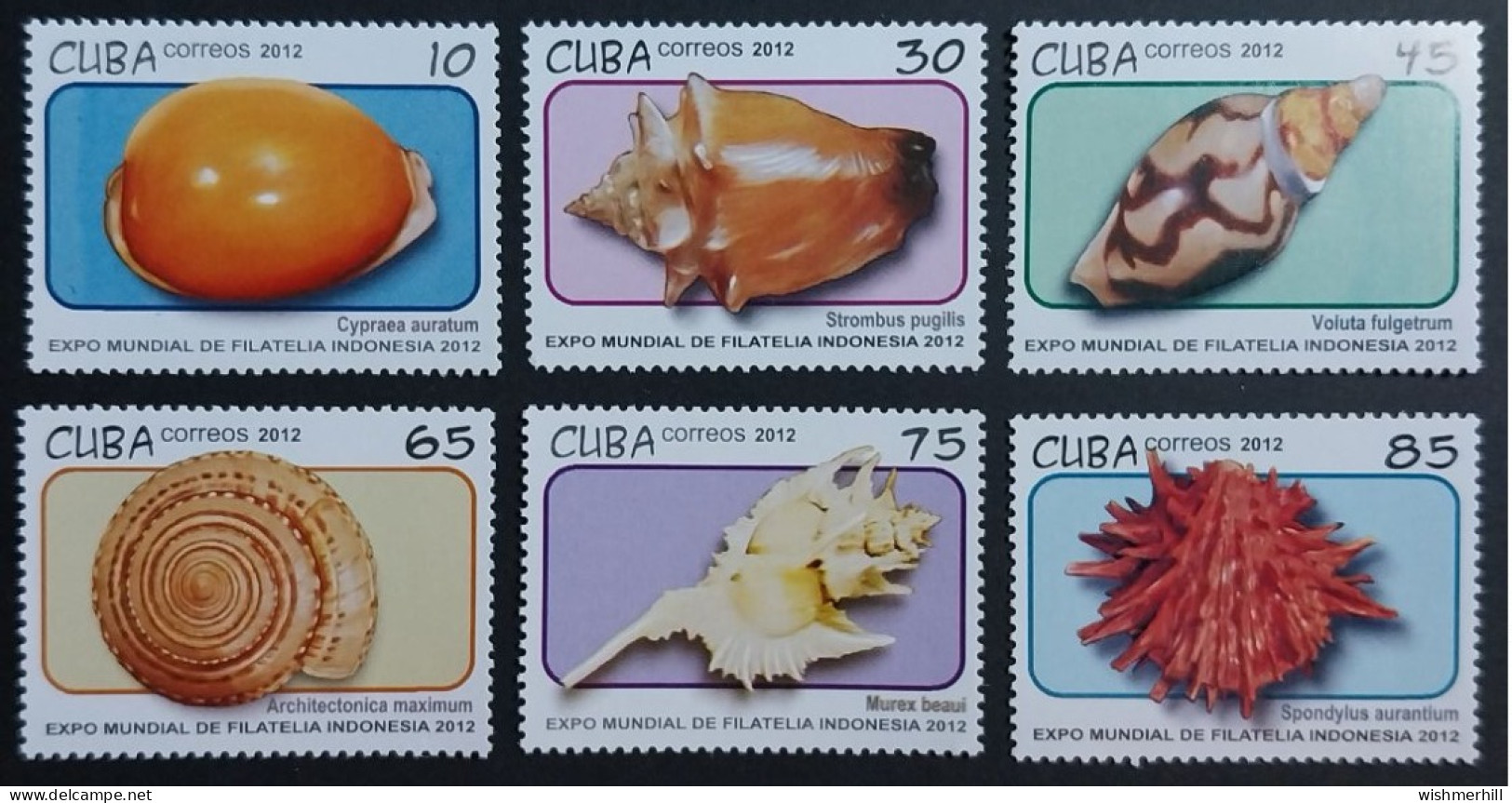 Coquillages Shells // Série Complète Neuve ** MNH ; Cuba YT 5048/5053 (2012) Cote 9.50 € - Ongebruikt