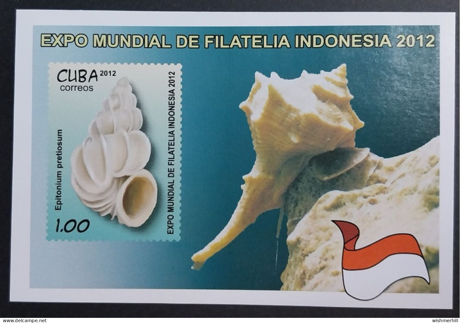 Coquillages Shells // Bloc Neuve ** MNH ; Cuba BF 289 (2012) Cote 3.50 € - Blokken & Velletjes