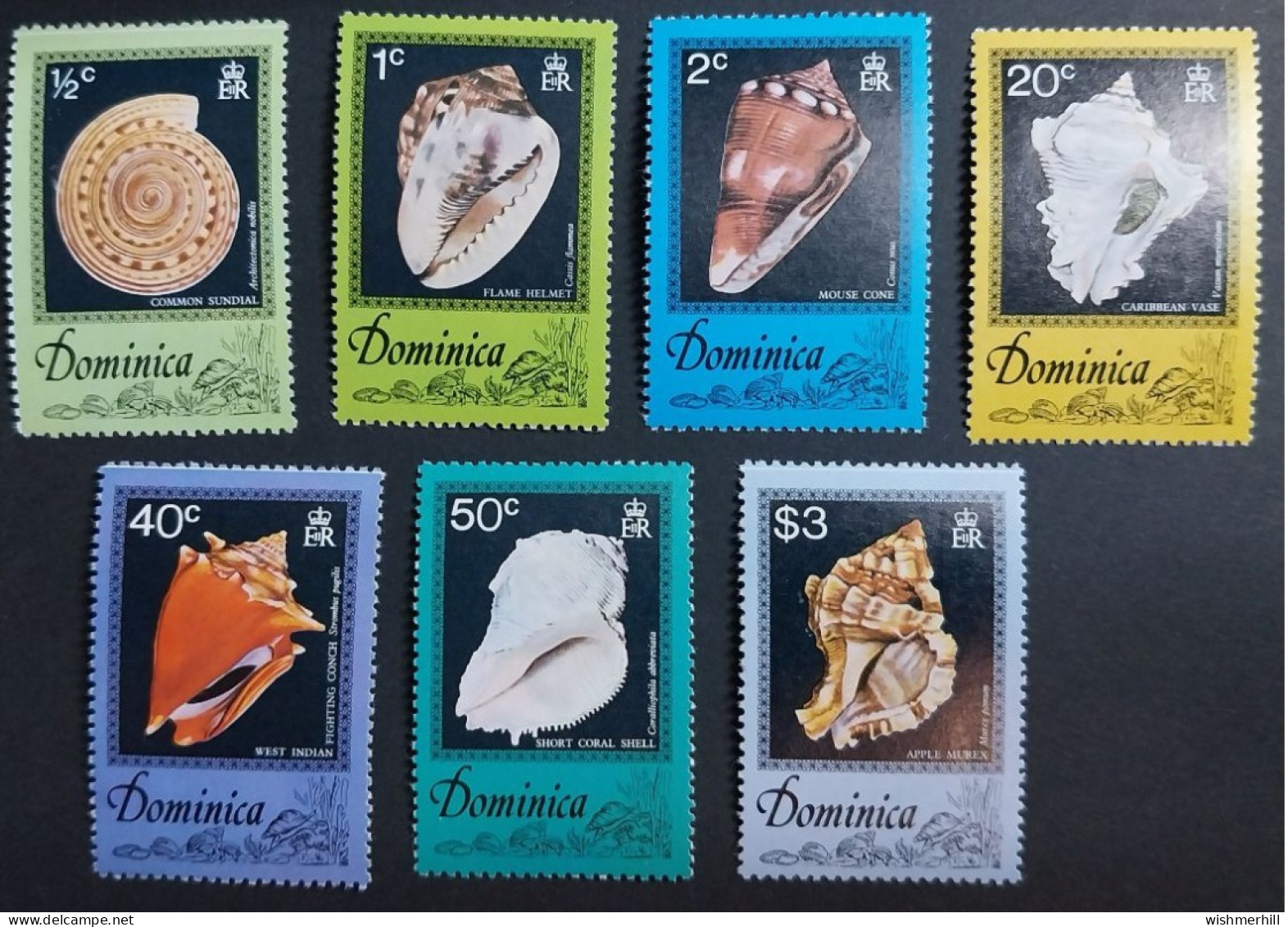 Coquillages Shells // Série Complète Neuve ** MNH ; Dominique 505/511 (1976) Cote 12 € - Dominique (1978-...)