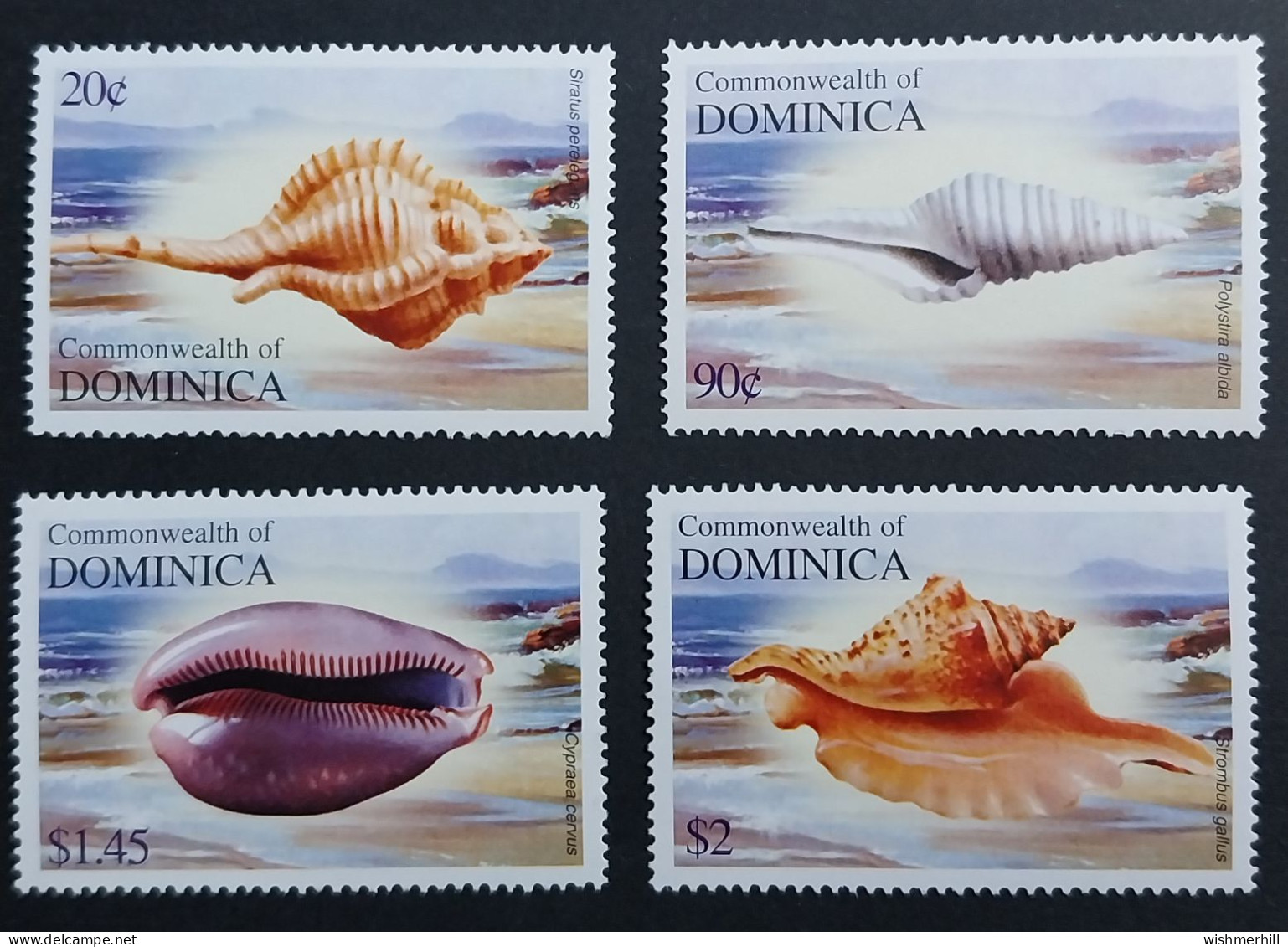 Coquillages Shells // Série Complète Neuve ** MNH ; Dominique 3068/3071 (2004) Cote 5.50 € - Dominique (1978-...)