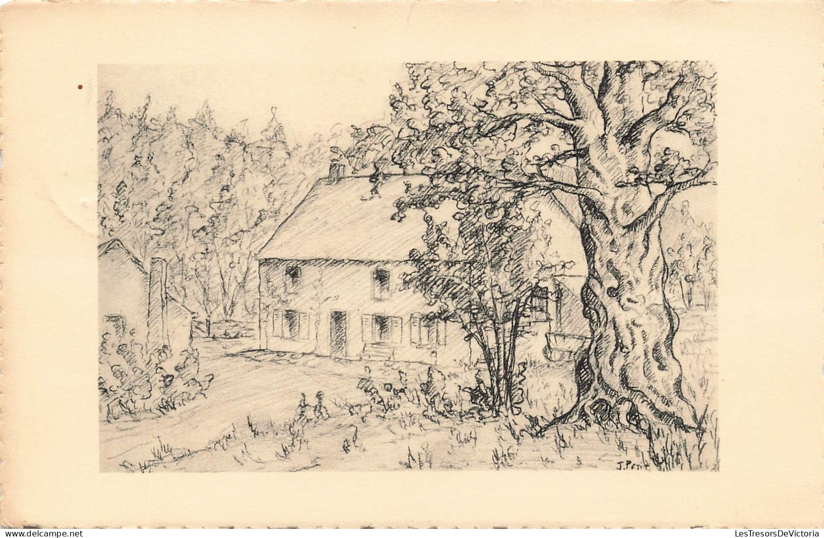 BELGIQUE - Grupont - Ancien Moulin Colle Et Arbre Plusieurs Fois Centenaire - Croquis - Carte Postale Ancienne - Tellin