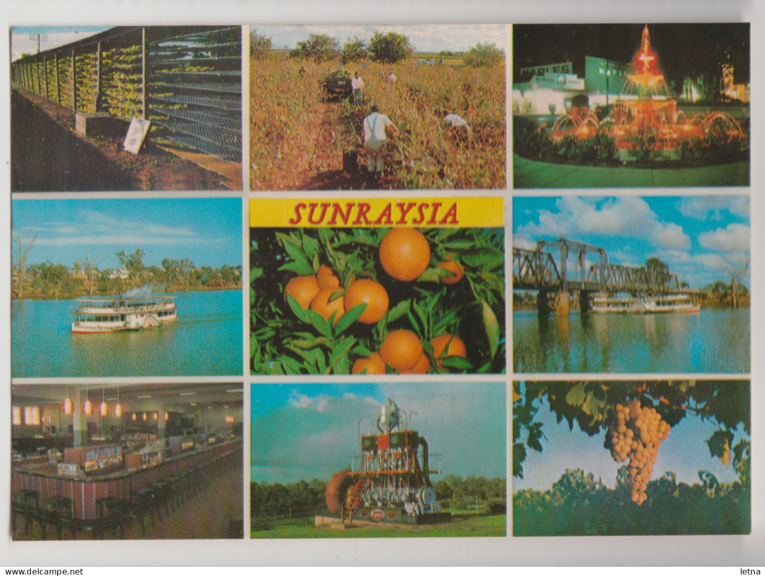 Australia VICTORIA VIC Fruit River Scenes SUNRAYSIA MILDURA Rose No.1099 Multiview Postcard C1970s - Mildura