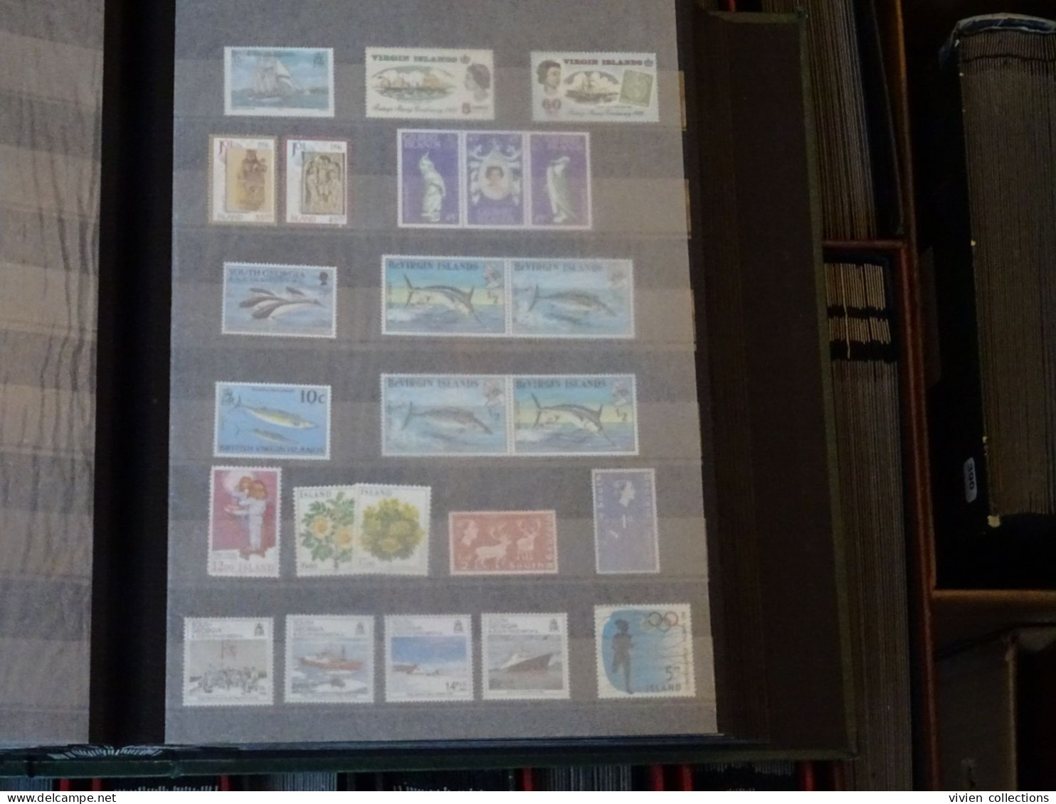 97 classeurs de timbres dont France avec une collection en 3 albums, colonies françaises avant et après indépendances...