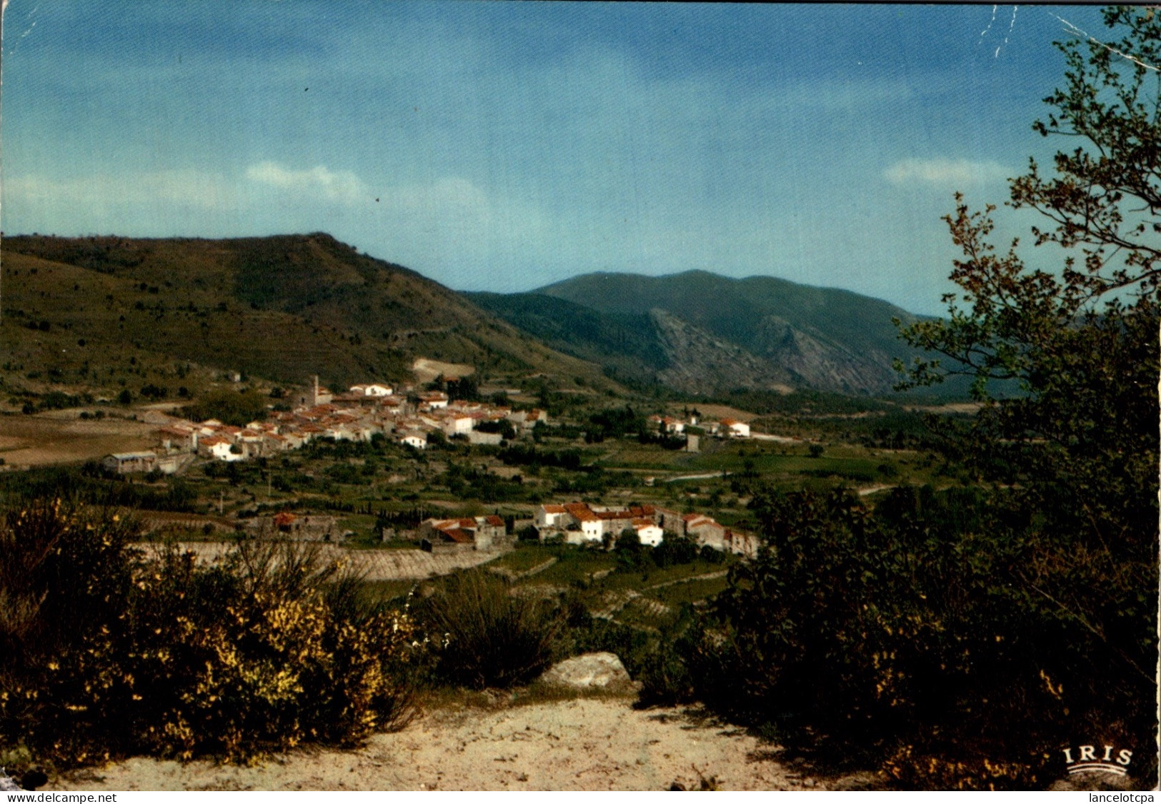 66 - SOURNIA / VUE GENERALE - Sournia