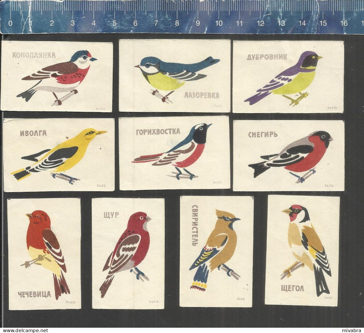 SONG BIRDS - OISEAUX - ZANGVOGELS - USSR URSS MATCHBOX LABELS RUSSIA - Boites D'allumettes - Etiquettes