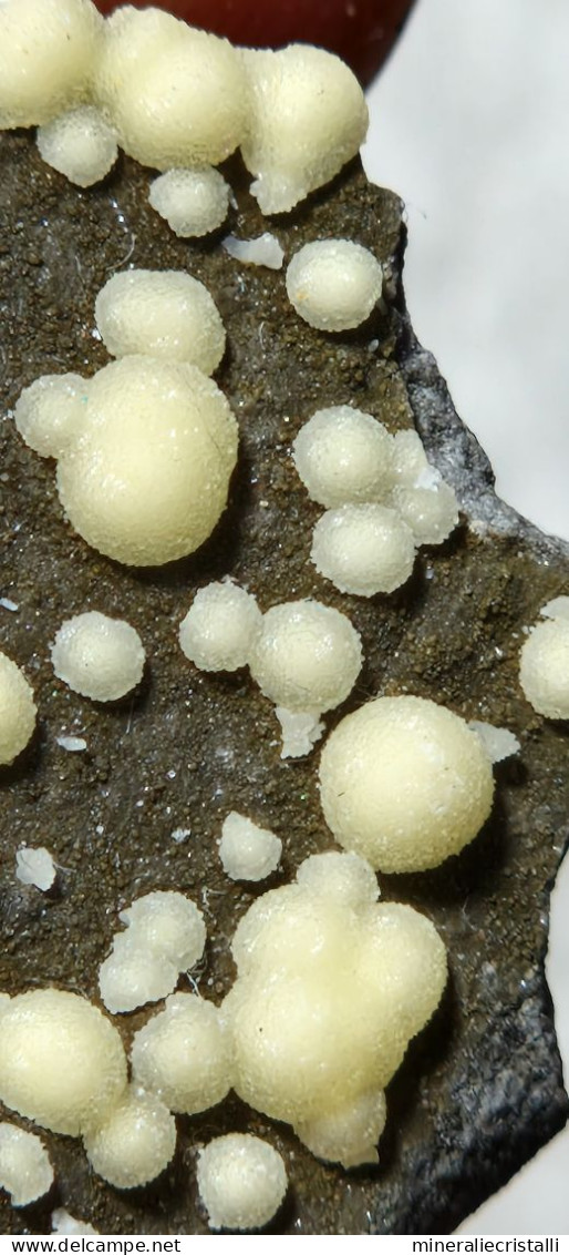 Calcite Globulare 5,60 Gr Montalto Di Castro 3,5 Cm Cristalli Perfetti Minerale - Mineralien