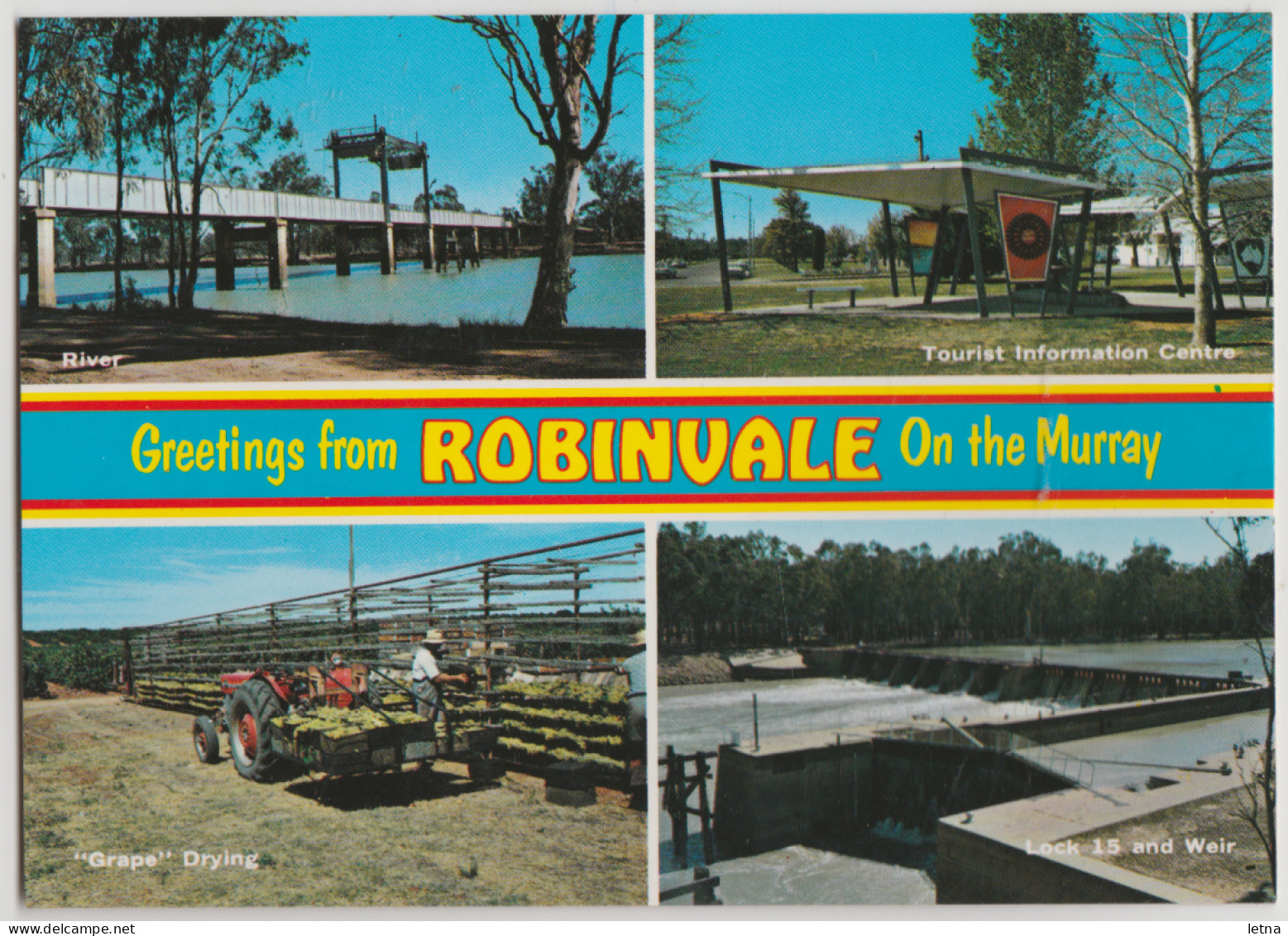 Australia VICTORIA VIC River Bridge Weir Grape Drying ROBINVALE On Murray Nucolorvue NCV156 Postcard C1980s - Other & Unclassified