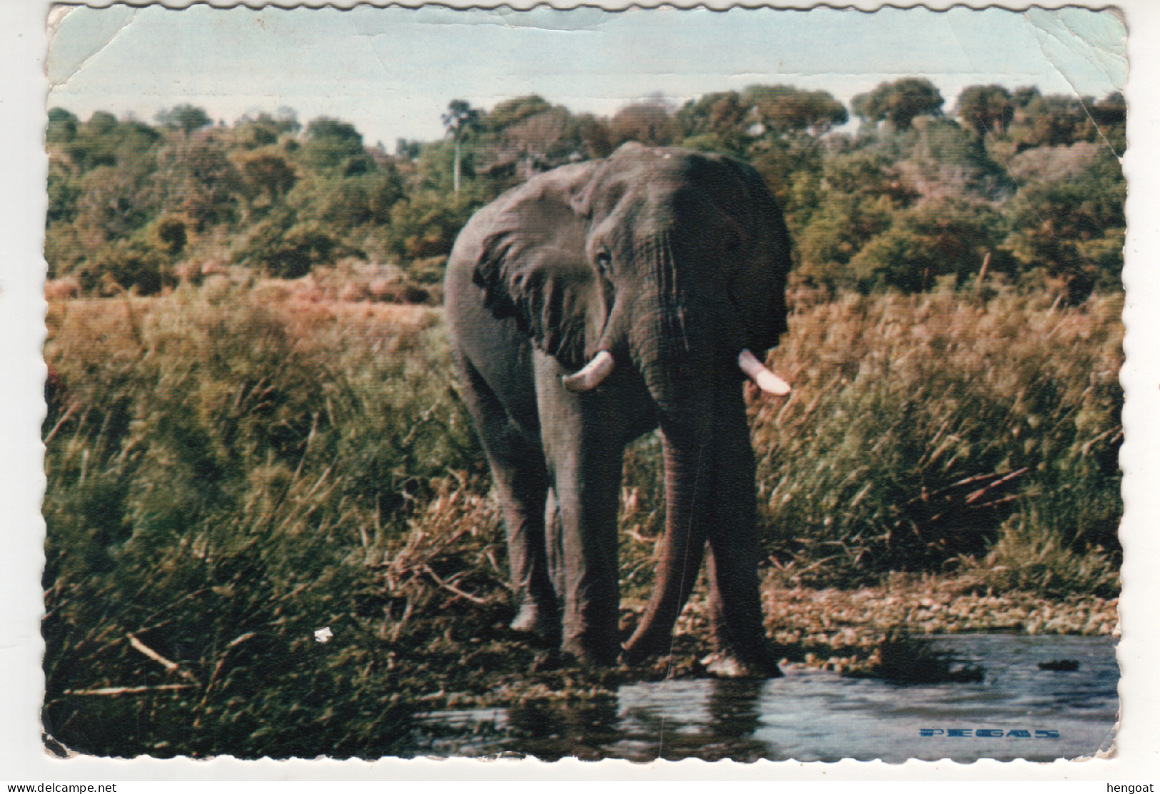 Timbres , Stamps " éléphant , Girafe " Sur CP , Carte , Postcard Du 03/09/59 - Kenya, Oeganda & Tanganyika