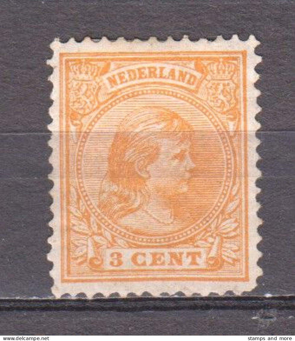 Netherlands 1891 NVPH 34 MH - Nuevos
