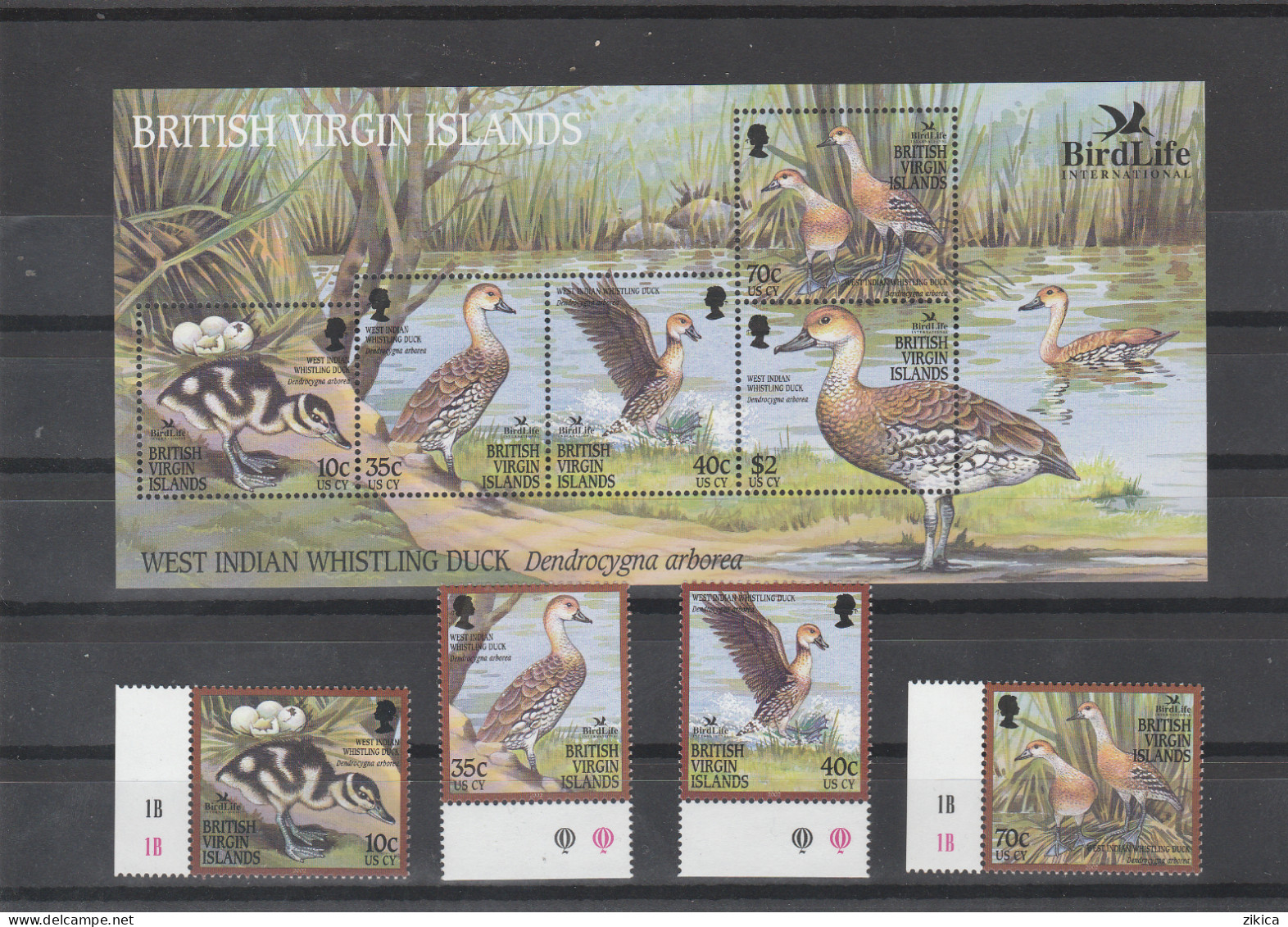 British Virgin Islands - 2002 BirdLife International - The West Indian Whistling Duck,birds.stamps And M/S  MNH** - British Virgin Islands