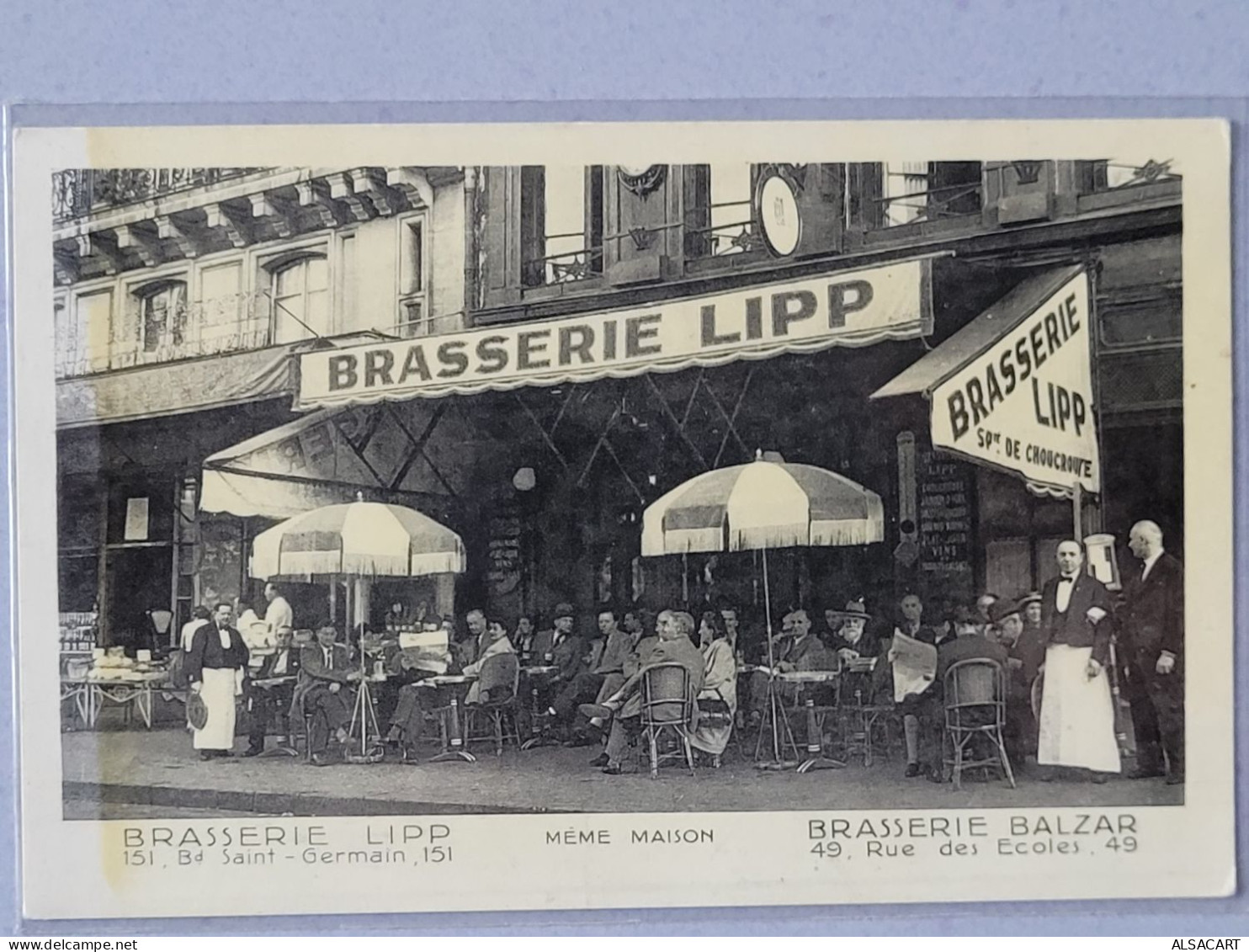 Carte Photo , Brasserie Lipp  Bd St Germain , Choucroute - Pubs, Hotels, Restaurants