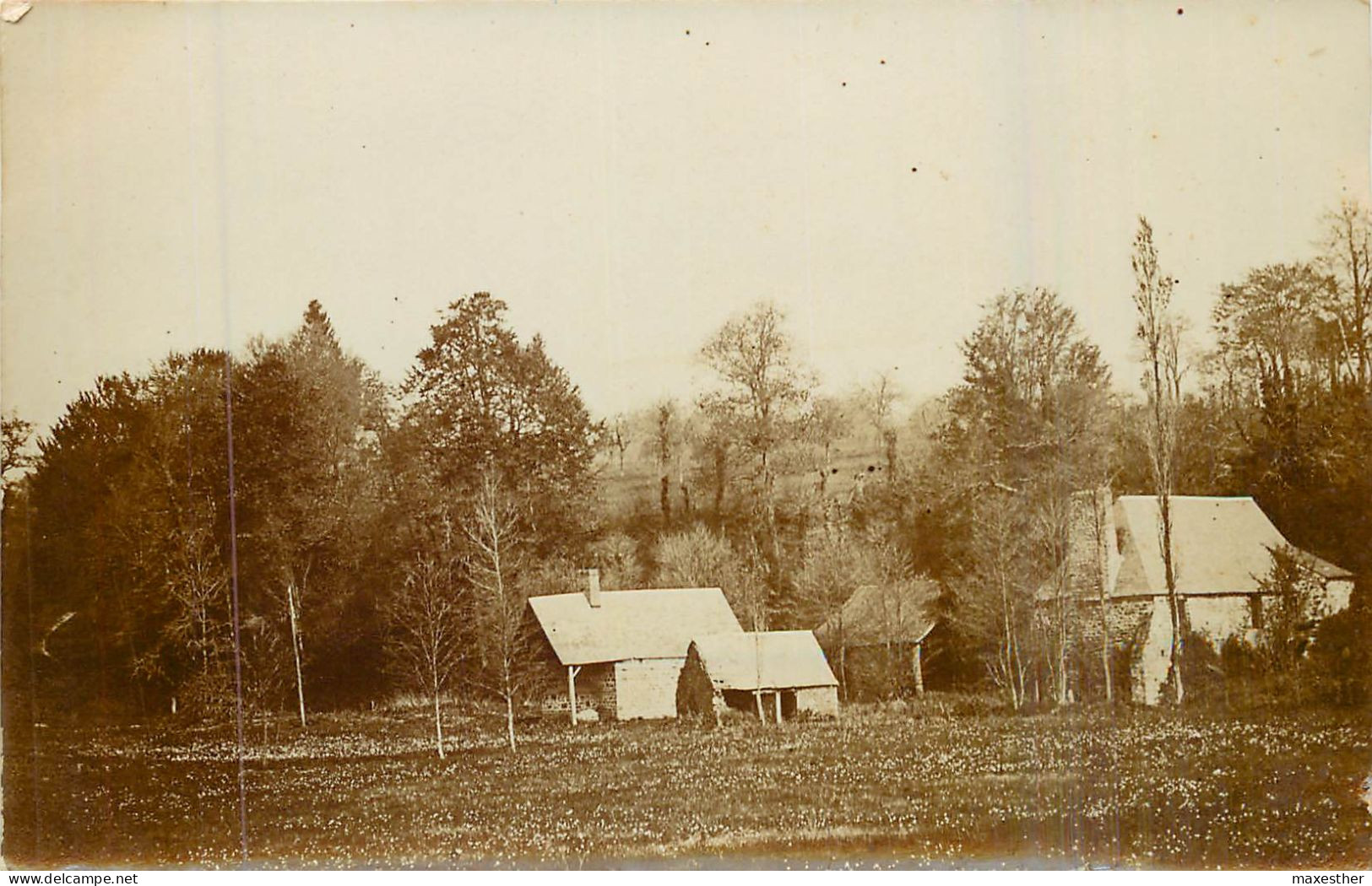 MÉDAN   Emile Zola et sa famille -  dans sa propriété aux AULNES -  ( 4 photos )