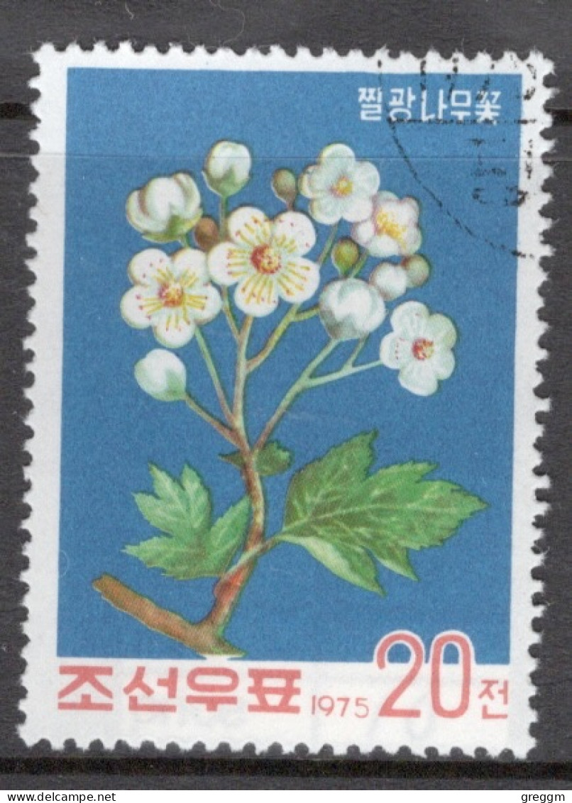 North Korea 1975 Single Stamp To Celebrate Flowering Trees In Fine Used. - Corée Du Nord