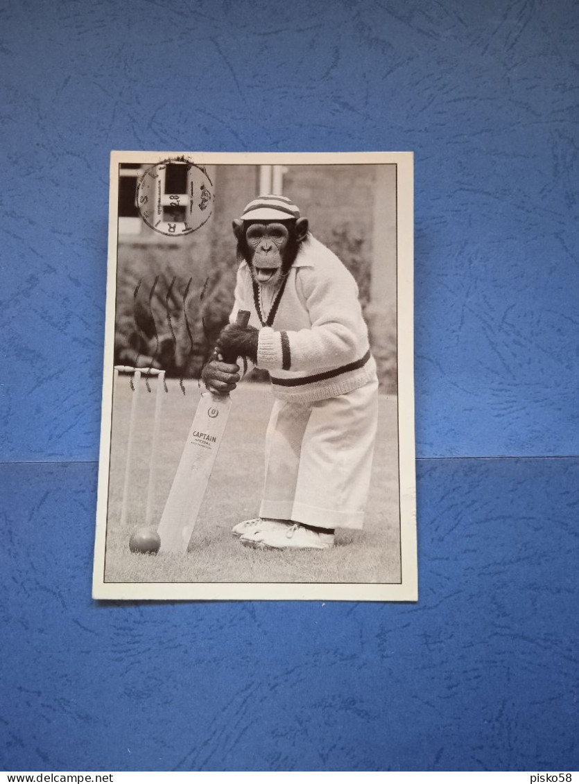 Cricket Champion-fg-1989 - Cricket