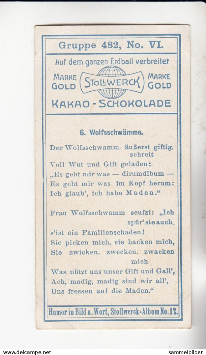 Stollwerck Album No 12 Pilze Wolfsschwämme    Grp 482 # 6 Von 1911 - Stollwerck