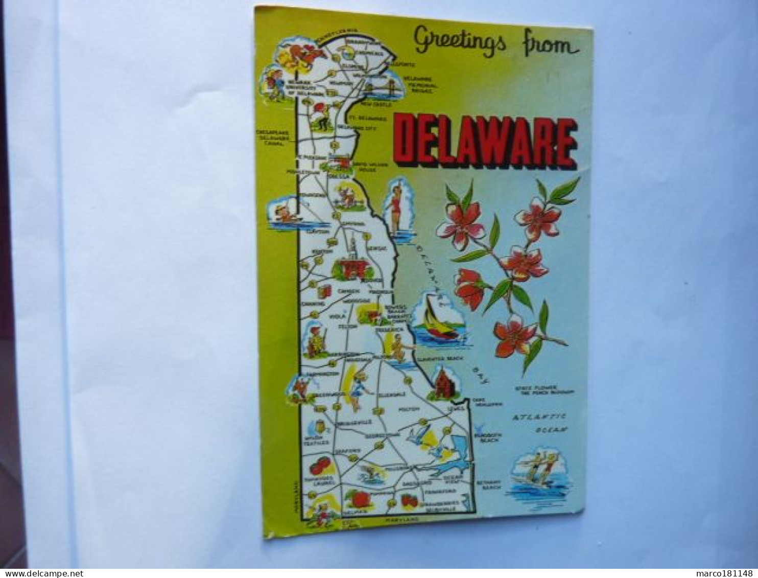 Greetings From DELAWARE - Andere & Zonder Classificatie